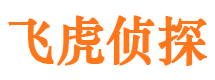 甘州市私人侦探